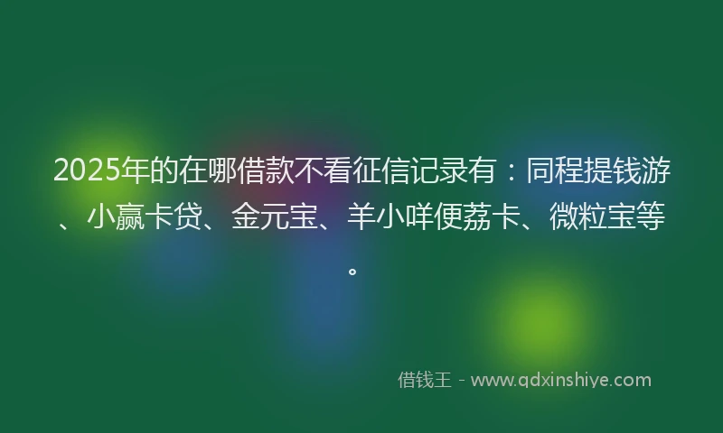 2025年的在哪借款不看征信记录有：同程提钱游、小赢卡贷、金元宝、羊小咩便荔卡、微粒宝等。