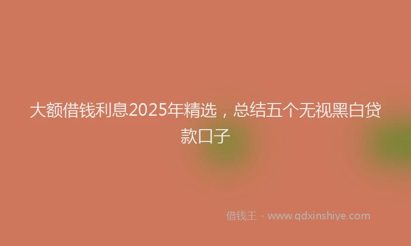 大额借钱利息2025年精选，总结五个无视黑白贷款口子
