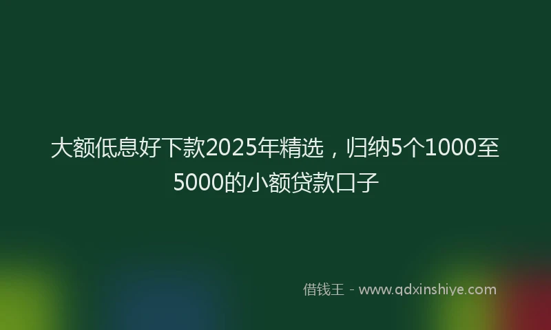 大额低息好下款2025年精选，归纳5个1000至5000的小额贷款口子
