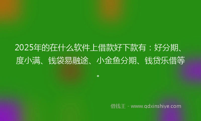 2025年的在什么软件上借款好下款有：好分期、度小满、钱袋易融途、小金鱼分期、钱贷乐借等。