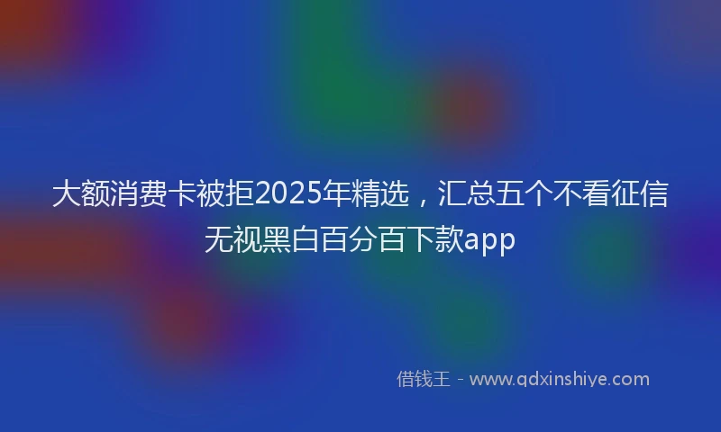 大额消费卡被拒2025年精选，汇总五个不看征信无视黑白百分百下款app