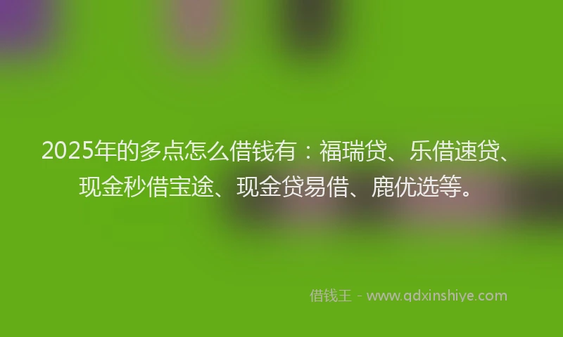 2025年的多点怎么借钱有：福瑞贷、乐借速贷、现金秒借宝途、现金贷易借、鹿优选等。