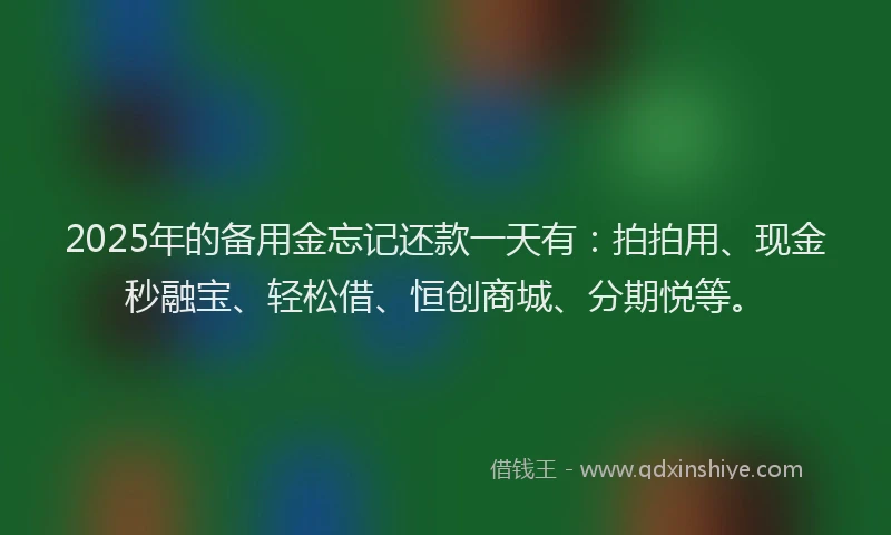 2025年的备用金忘记还款一天有：拍拍用、现金秒融宝、轻松借、恒创商城、分期悦等。