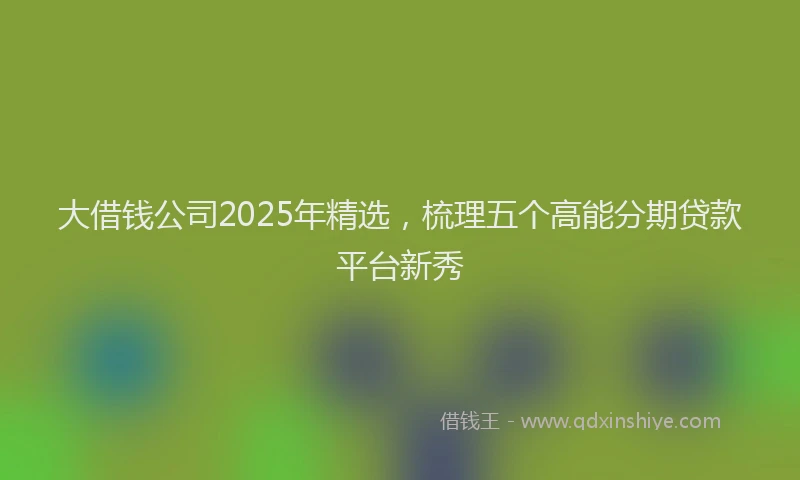 大借钱公司2025年精选,梳理五个高能分期贷款平台新秀