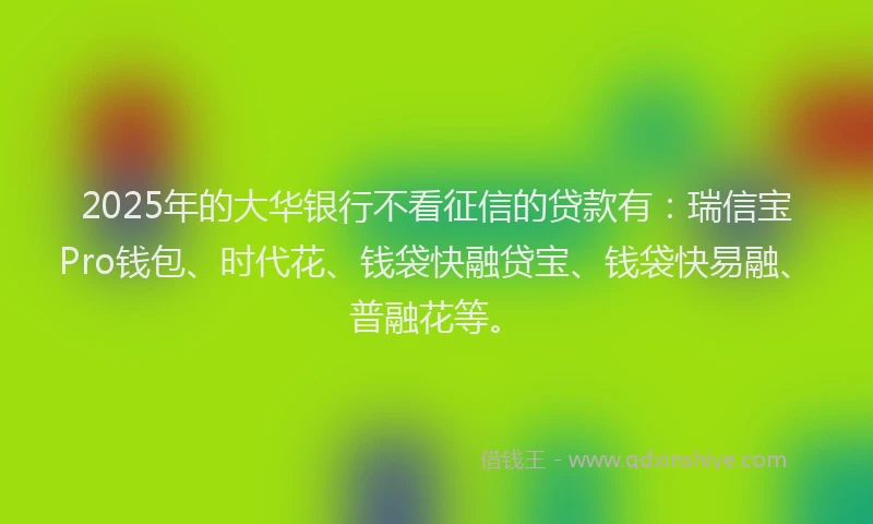 2025年的大华银行不看征信的贷款有：瑞信宝Pro钱包、时代花、钱袋快融贷宝、钱袋快易融、普融花等。