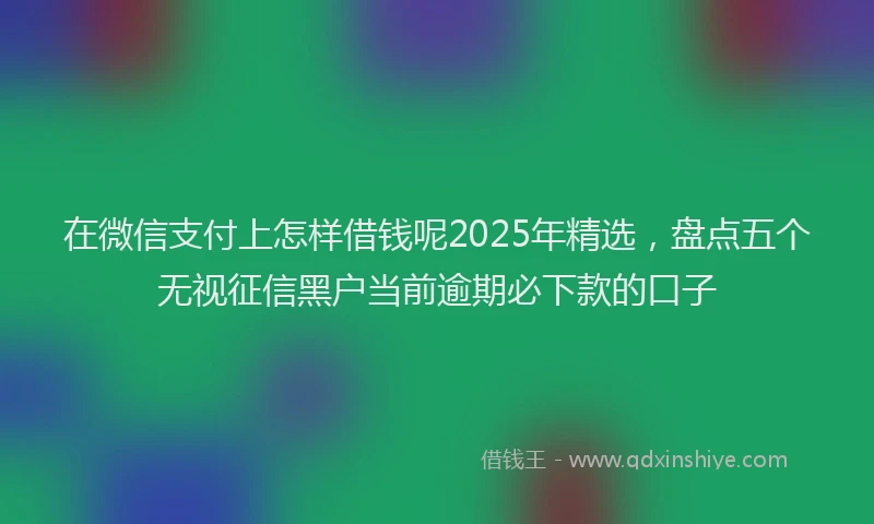 在微信支付上怎样借钱呢2025年精选，盘点五个无视征信黑户当前逾期必下款的口子