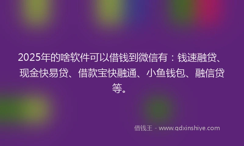 2025年的啥软件可以借钱到微信有：钱速融贷、现金快易贷、借款宝快融通、小鱼钱包、融信贷等。