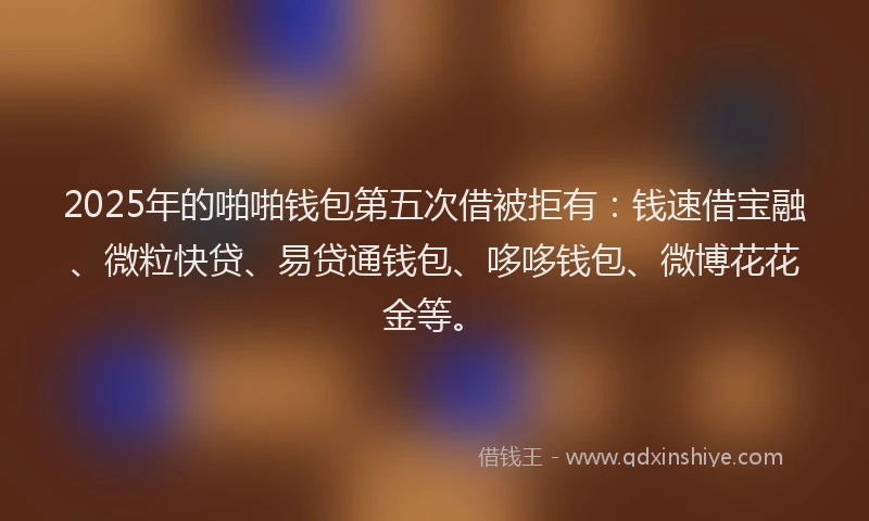 2025年的啪啪钱包第五次借被拒有：钱速借宝融、微粒快贷、易贷通钱包、哆哆钱包、微博花花金等。