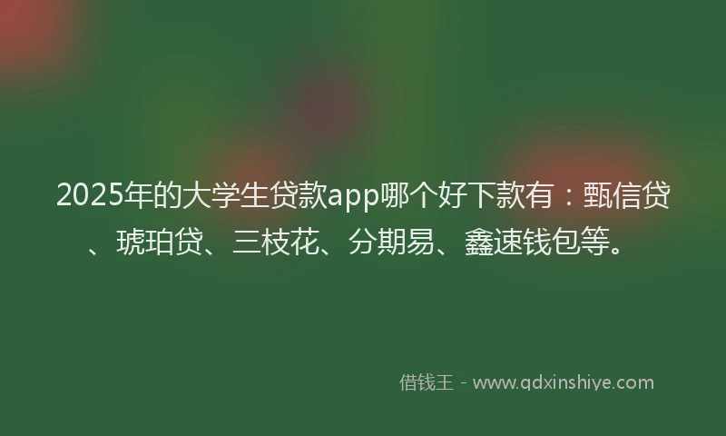 2025年的大学生贷款app哪个好下款有：甄信贷、琥珀贷、三枝花、分期易、鑫速钱包等。