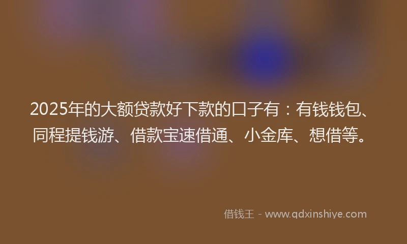 2025年的大额贷款好下款的口子有：有钱钱包、同程提钱游、借款宝速借通、小金库、想借等。