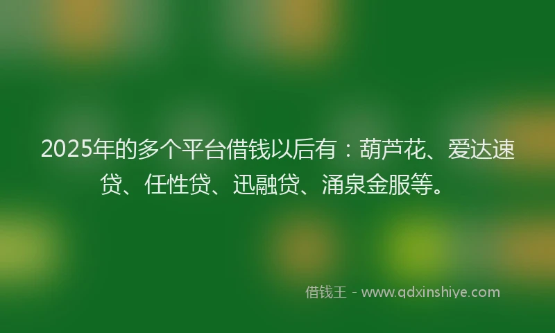 2025年的多个平台借钱以后有：葫芦花、爱达速贷、任性贷、迅融贷、涌泉金服等。