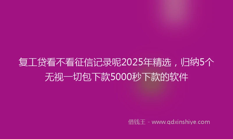 复工贷看不看征信记录呢2025年精选，归纳5个无视一切包下款5000秒下款的软件