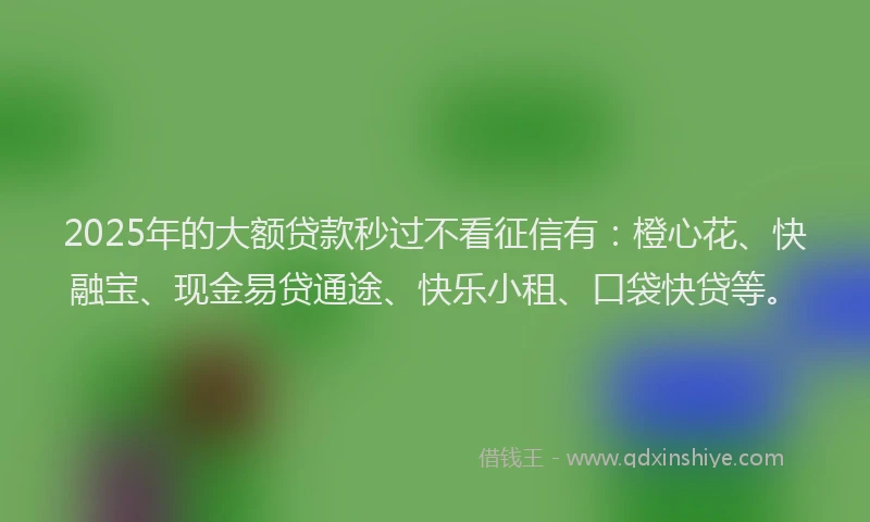 2025年的大额贷款秒过不看征信有：橙心花、快融宝、现金易贷通途、快乐小租、口袋快贷等。