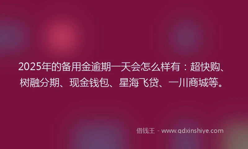 2025年的备用金逾期一天会怎么样有：超快购、树融分期、现金钱包、星海飞贷、一川商城等。