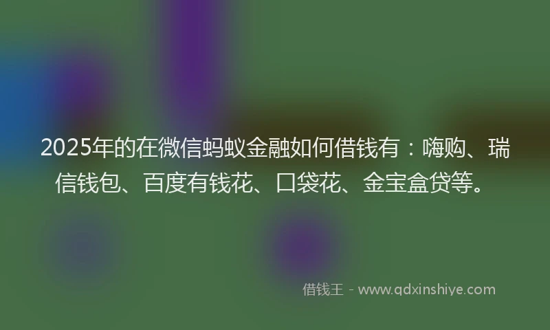 2025年的在微信蚂蚁金融如何借钱有：嗨购、瑞信钱包、百度有钱花、口袋花、金宝盒贷等。