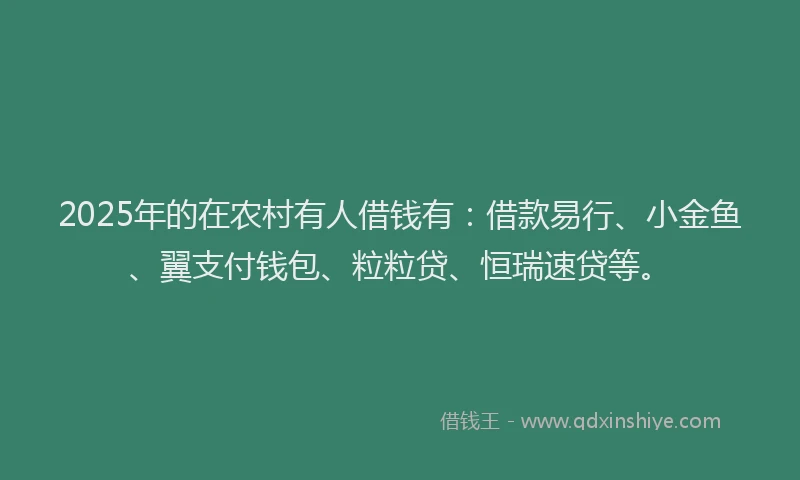 2025年的在农村有人借钱有：借款易行、小金鱼、翼支付钱包、粒粒贷、恒瑞速贷等。
