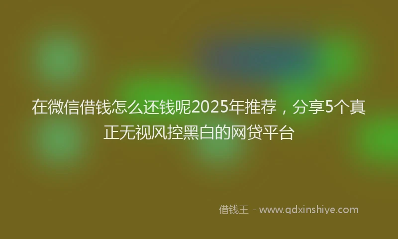在微信借钱怎么还钱呢2025年推荐,分享5个真正无视风控黑白的网贷平台