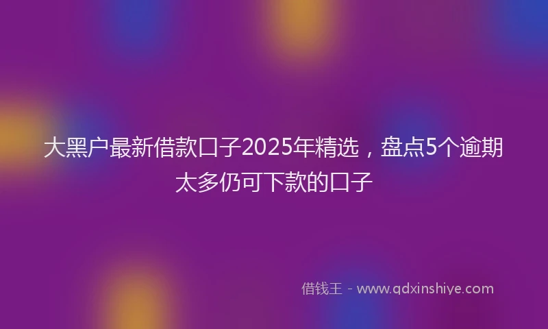 大黑户最新借款口子2025年精选，盘点5个逾期太多仍可下款的口子