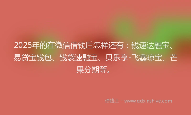 2025年的在微信借钱后怎样还有：钱速达融宝、易贷宝钱包、钱袋速融宝、贝乐享-飞鑫琼宝、芒果分期等。