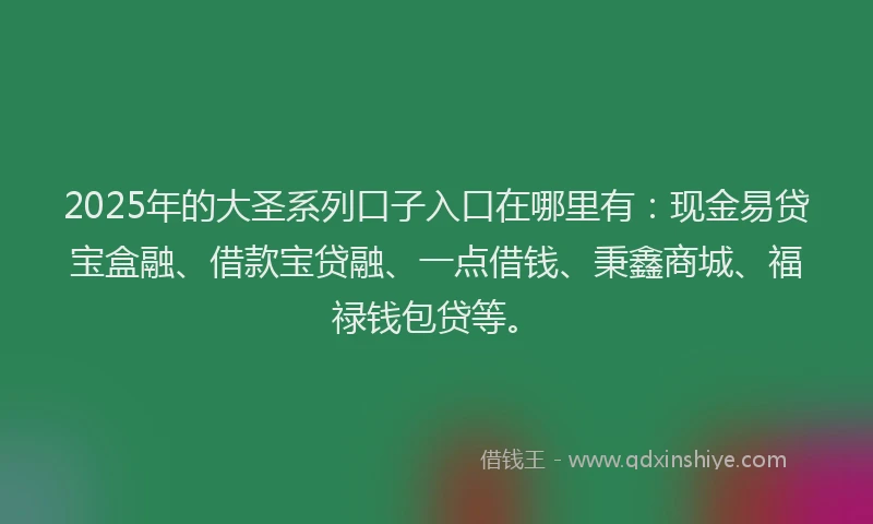 2025年的大圣系列口子入口在哪里有：现金易贷宝盒融、借款宝贷融、一点借钱、秉鑫商城、福禄钱包贷等。