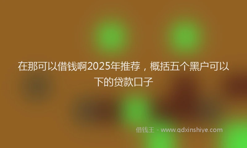 在那可以借钱啊2025年推荐，概括五个黑户可以下的贷款口子
