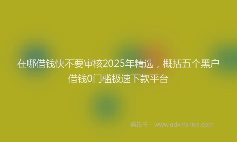 在哪借钱快不要审核2025年精选，概括五个黑户借钱0门槛极速下款平台