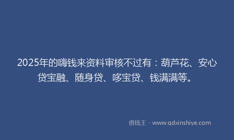2025年的嗨钱来资料审核不过有：葫芦花、安心贷宝融、随身贷、哆宝贷、钱满满等。