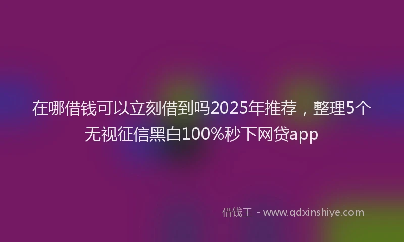 在哪借钱可以立刻借到吗2025年推荐，整理5个无视征信黑白100%秒下网贷app