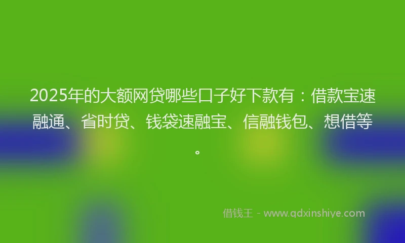 2025年的大额网贷哪些口子好下款有：借款宝速融通、省时贷、钱袋速融宝、信融钱包、想借等。