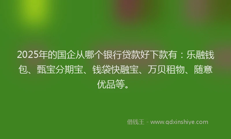 2025年的国企从哪个银行贷款好下款有：乐融钱包、甄宝分期宝、钱袋快融宝、万贝租物、随意优品等。
