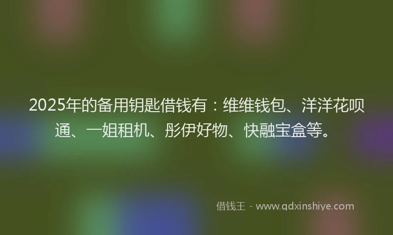 2025年的备用钥匙借钱有：维维钱包、洋洋花呗通、一姐租机、彤伊好物、快融宝盒等。