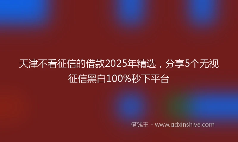 天津不看征信的借款2025年精选，分享5个无视征信黑白100%秒下平台