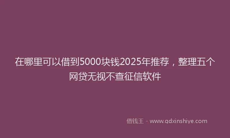 在哪里可以借到5000块钱2025年推荐，整理五个网贷无视不查征信软件