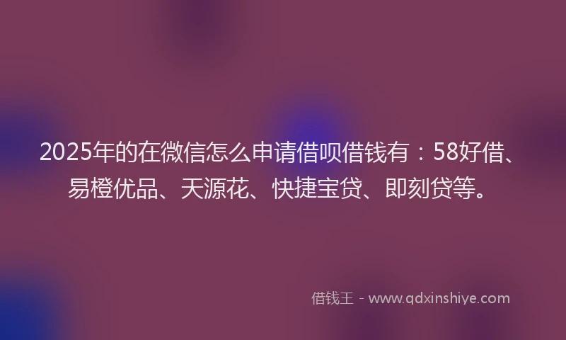 2025年的在微信怎么申请借呗借钱有：58好借、易橙优品、天源花、快捷宝贷、即刻贷等。