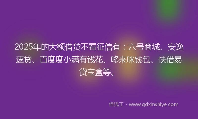 2025年的大额借贷不看征信有：六号商城、安逸速贷、百度度小满有钱花、哆来咪钱包、快借易贷宝盒等。