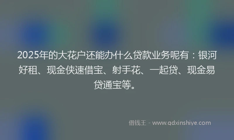 2025年的大花户还能办什么贷款业务呢有：银河好租、现金侠速借宝、射手花、一起贷、现金易贷通宝等。