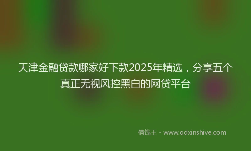 天津金融贷款哪家好下款2025年精选,分享五个真正无视风控黑白的网贷平台