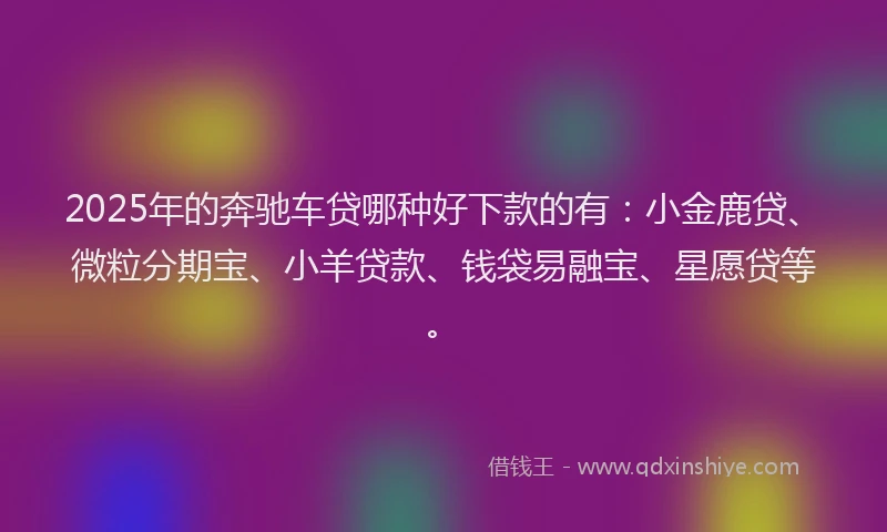 2025年的奔驰车贷哪种好下款的有：小金鹿贷、微粒分期宝、小羊贷款、钱袋易融宝、星愿贷等。