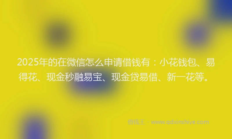 2025年的在微信怎么申请借钱有：小花钱包、易得花、现金秒融易宝、现金贷易借、新一花等。