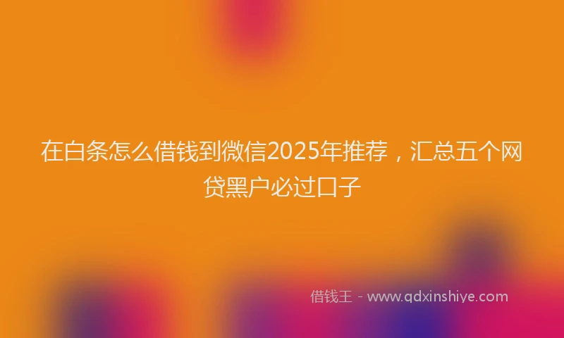 在白条怎么借钱到微信2025年推荐，汇总五个网贷黑户必过口子