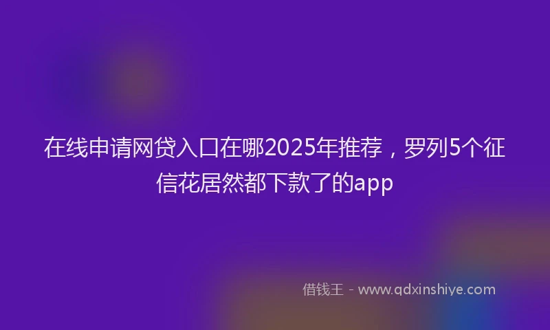 在线申请网贷入口在哪2025年推荐，罗列5个征信花居然都下款了的app