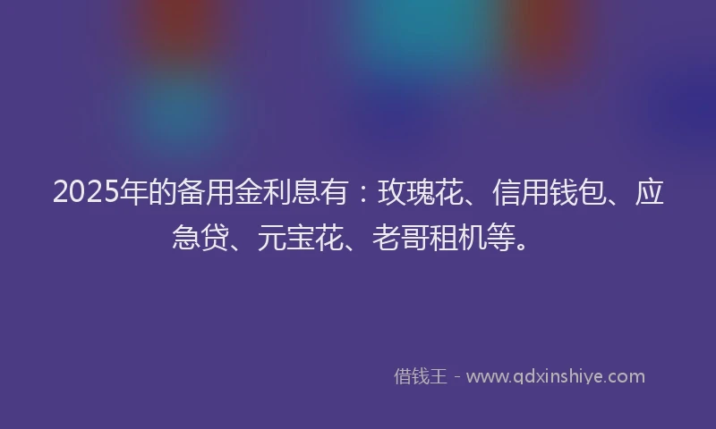 2025年的备用金利息有：玫瑰花、信用钱包、应急贷、元宝花、老哥租机等。