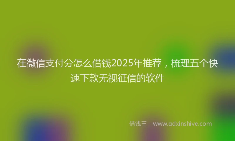 在微信支付分怎么借钱2025年推荐，梳理五个快速下款无视征信的软件