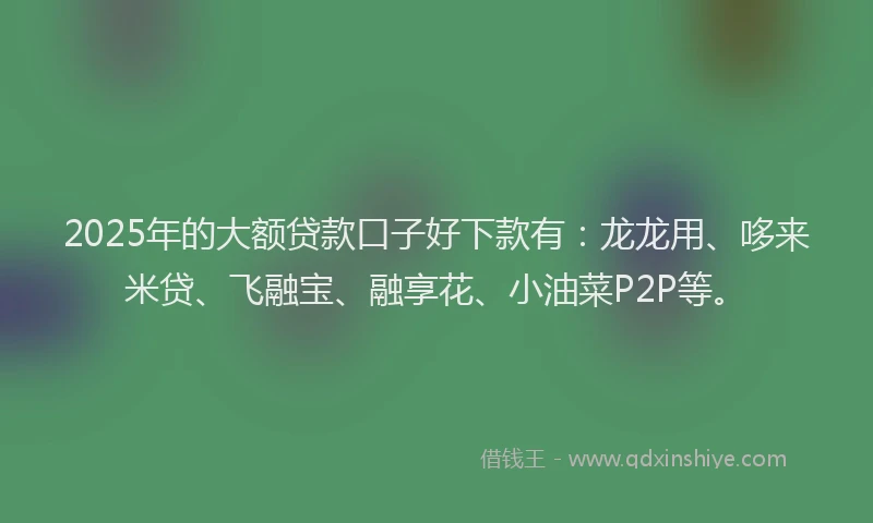 2025年的大额贷款口子好下款有：龙龙用、哆来米贷、飞融宝、融享花、小油菜P2P等。
