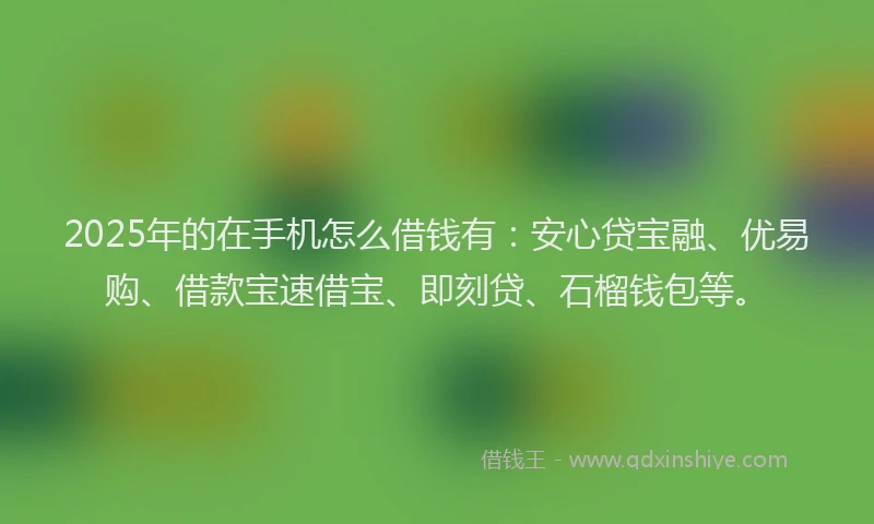 2025年的在手机怎么借钱有：安心贷宝融、优易购、借款宝速借宝、即刻贷、石榴钱包等。
