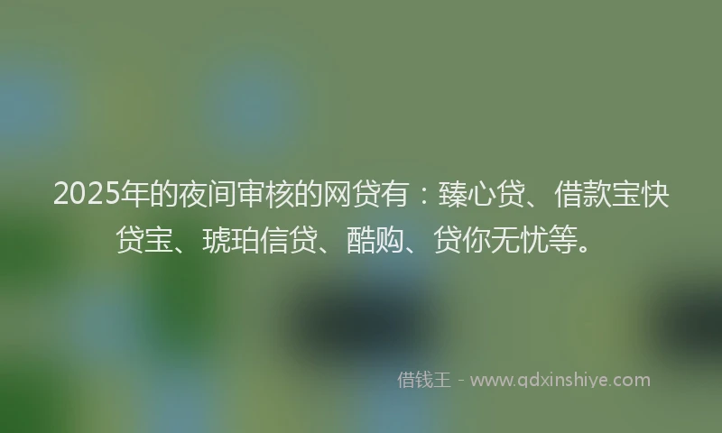 2025年的夜间审核的网贷有：臻心贷、借款宝快贷宝、琥珀信贷、酷购、贷你无忧等。