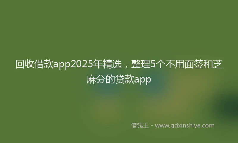 回收借款app2025年精选，整理5个不用面签和芝麻分的贷款app