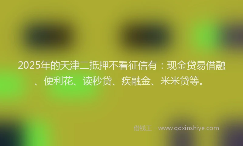 2025年的天津二抵押不看征信有:现金贷易借融、便利花、读秒贷、疾融金、米米贷等。