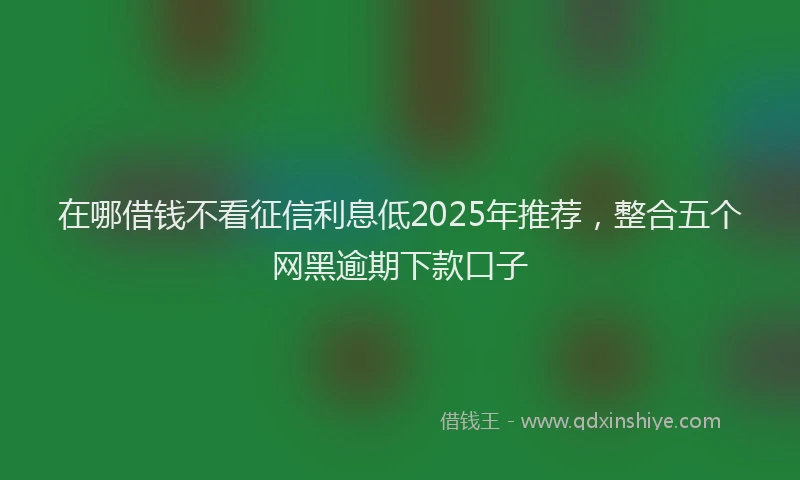 在哪借钱不看征信利息低2025年推荐，整合五个网黑逾期下款口子