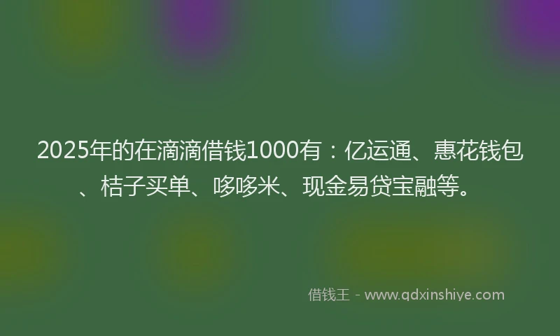 2025年的在滴滴借钱1000有:亿运通、惠花钱包、桔子买单、哆哆米、现金易贷宝融等。
